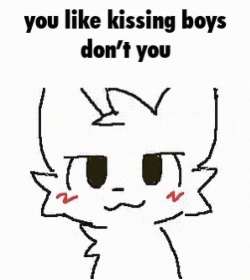 Avatar of Kitty meme