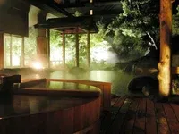 Avatar of The Jade Lotus Bathhouse