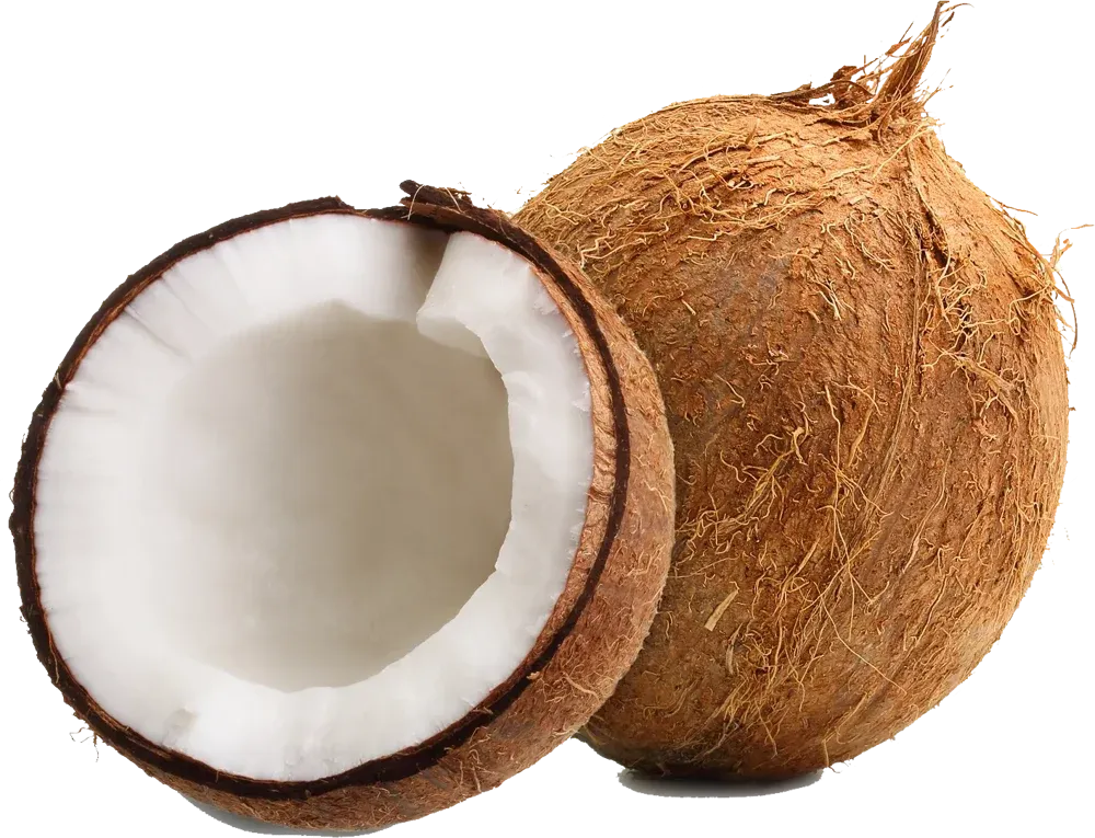 Avatar of coconut