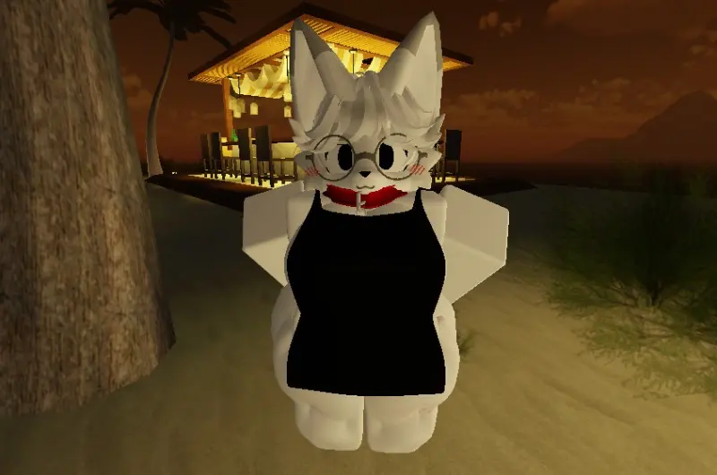 Avatar of Ash - Fox Barista
