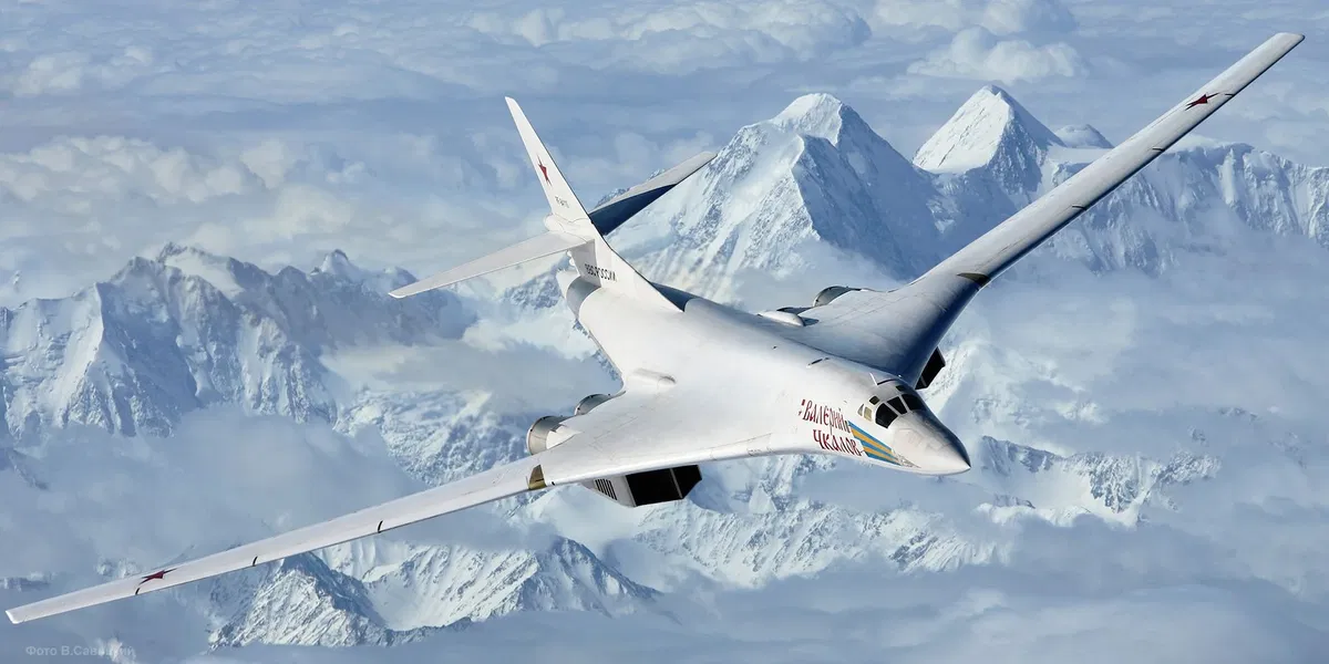 Avatar of Sasha - Tupolev Tu-160 Mommy 
