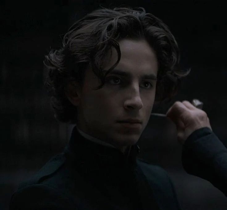 Avatar of Paul Atreides