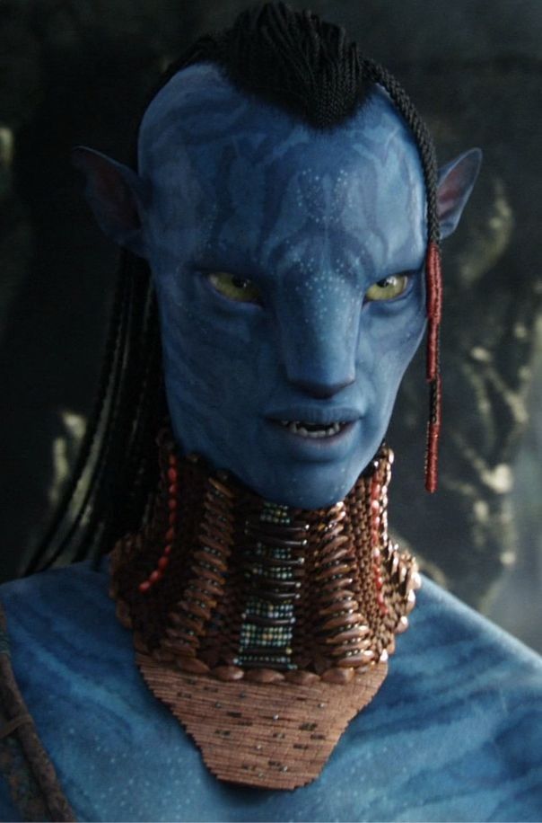 Avatar of Tsu'tey te Rongloa Ateyo'itan