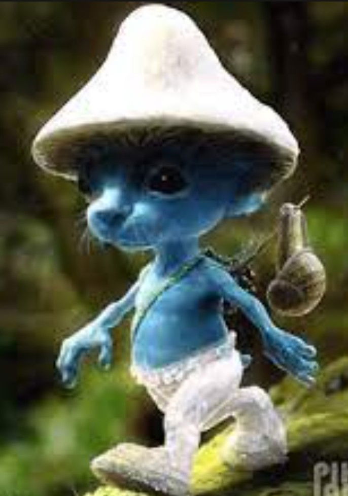 Avatar of koto smerf
