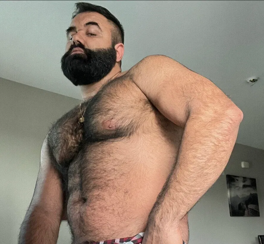 Avatar of Persianwolf22
