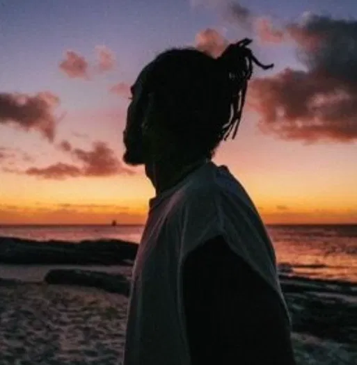 Avatar of Lewis Hamilton // Surprise
