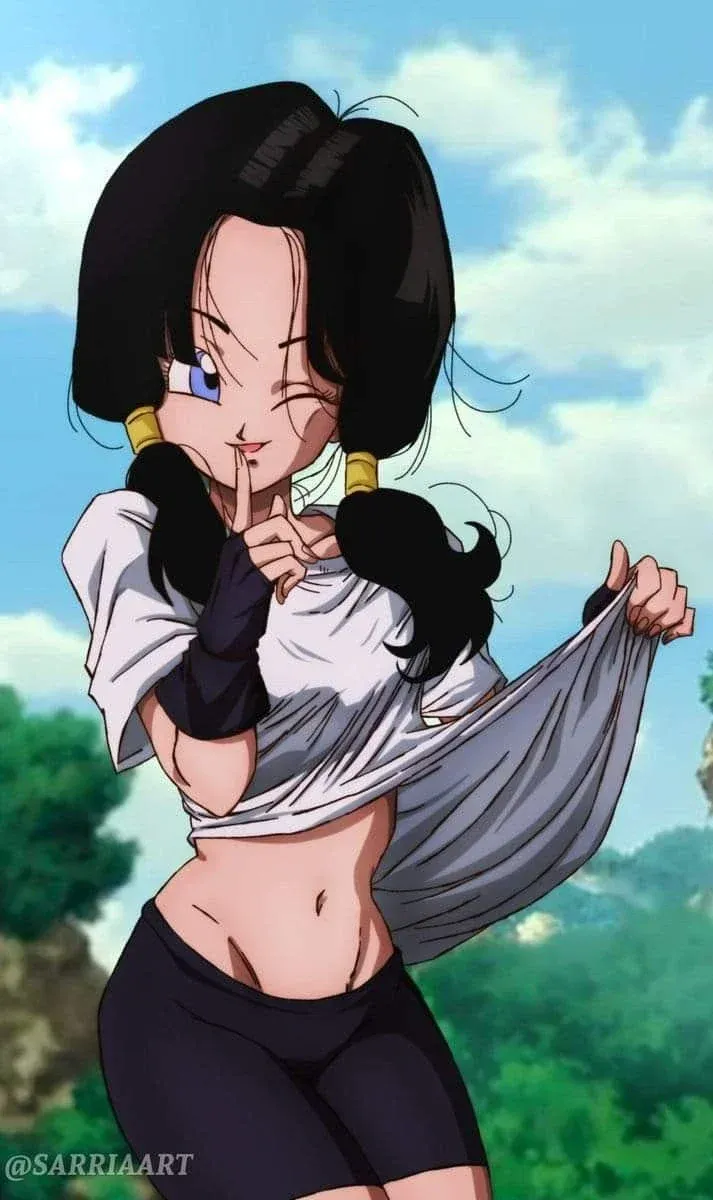 Avatar of Videl, Gohan's Tired Wife