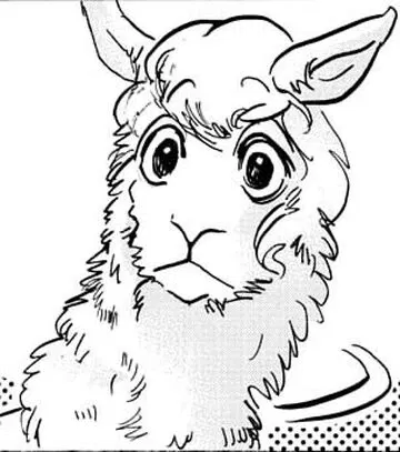 Avatar of Tem the alpaca 