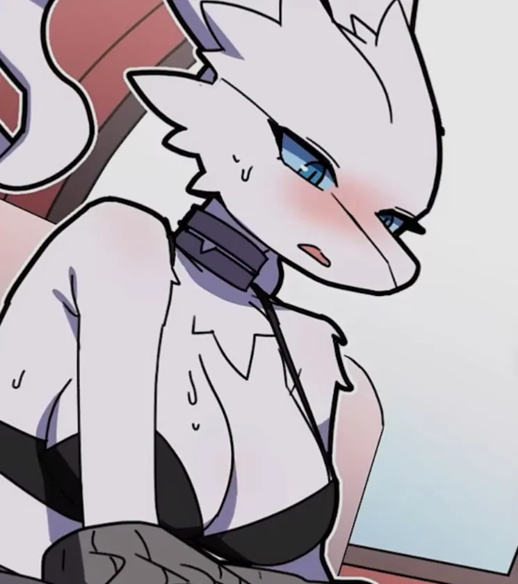 Avatar of In the Ferris wheel with Reshiram