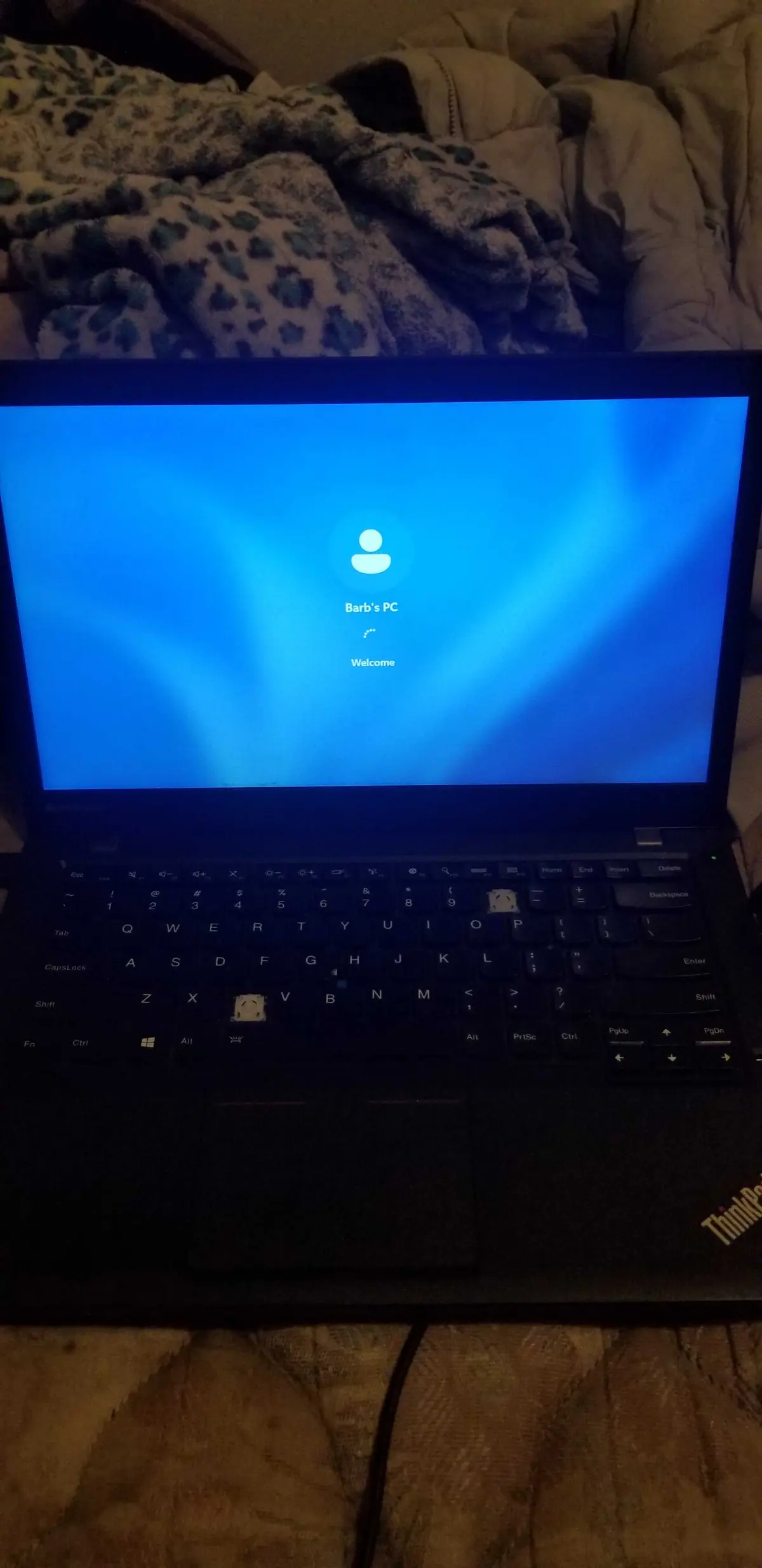 Avatar of Barbs window 11 laptop