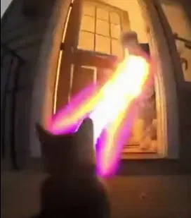 Avatar of Cat