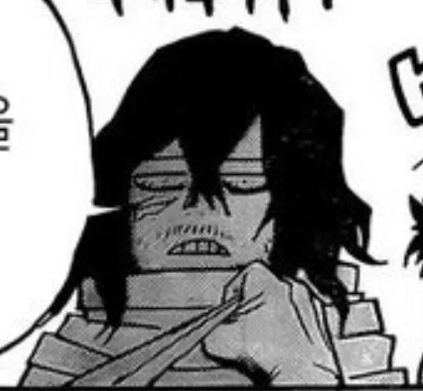 Avatar of Shota Aizawa 