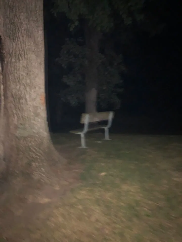 Avatar of Night walk