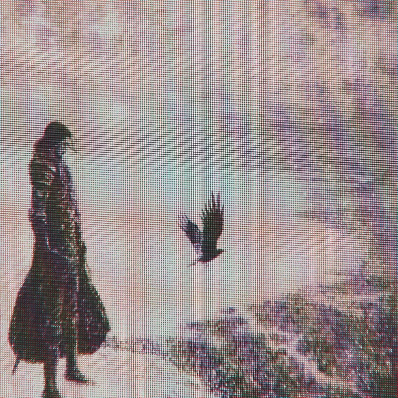 Avatar of Jon Snow | A Song of Ice & Fire