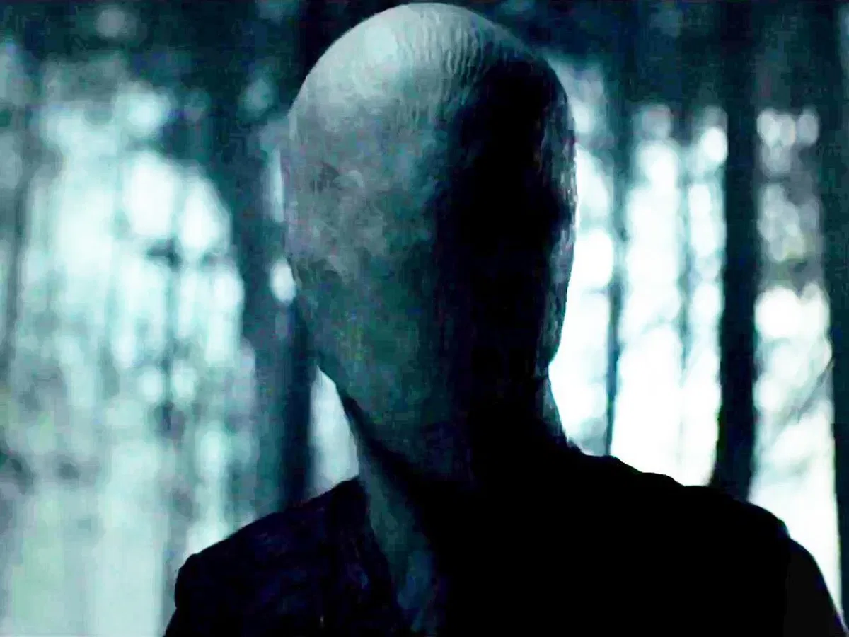 Avatar of A wrong turn in the woods...