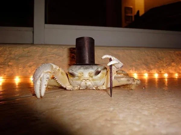 Avatar of Dr. John Crab