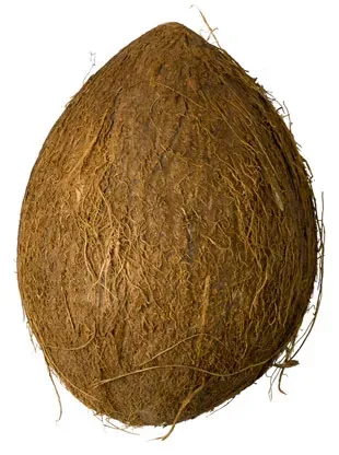 Avatar of Coconut