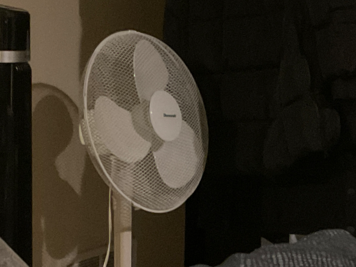 Avatar of The Fan