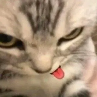 Avatar of ~ Talk with me!  ~