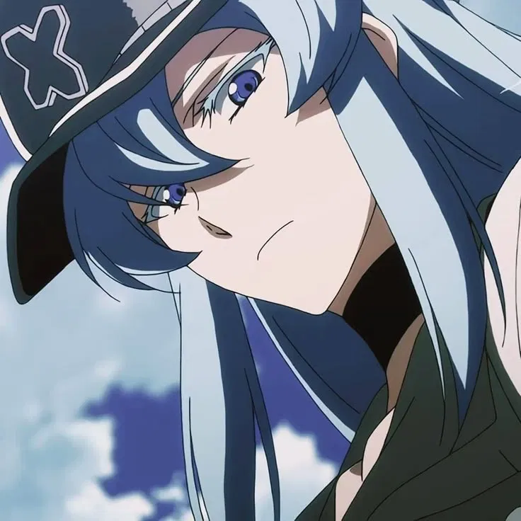 Avatar of Esdeath of Akame ga kill