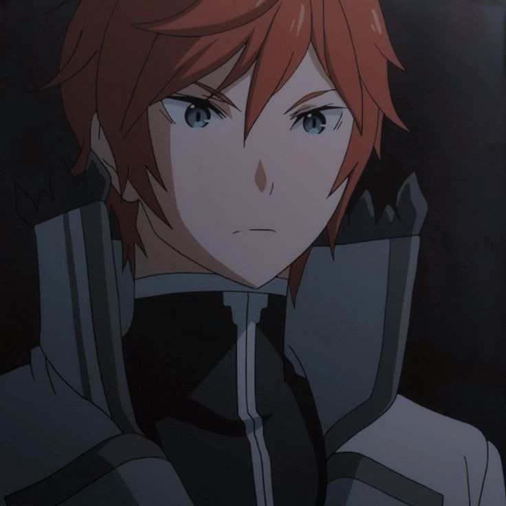 Avatar of Reinhard Van Astrea 