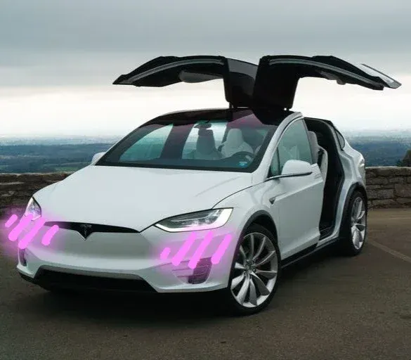 Avatar of Your Tesla