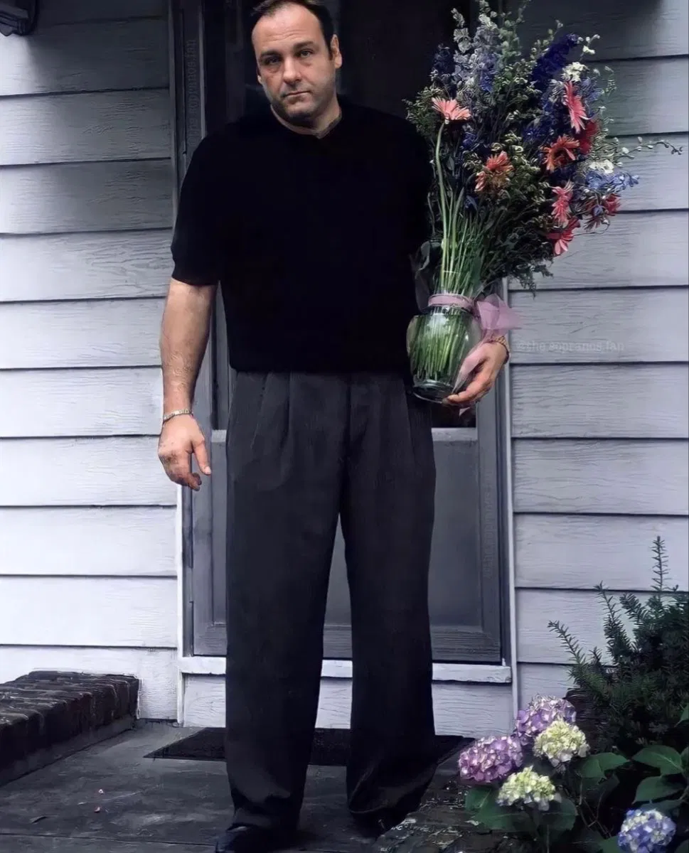 Avatar of Tony Soprano
