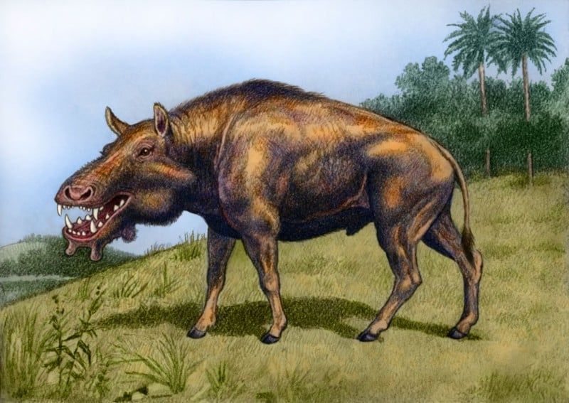 Avatar of Scar the Archaeotherium mortoni