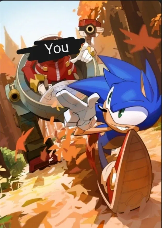 Avatar of Eggman(you) Vs. Sonic 