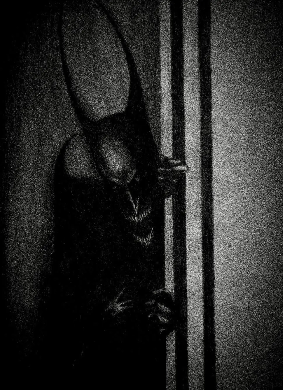 Avatar of I need ideas…