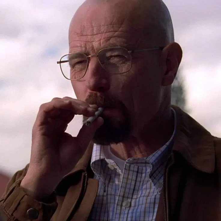 Avatar of WALTER WHITE