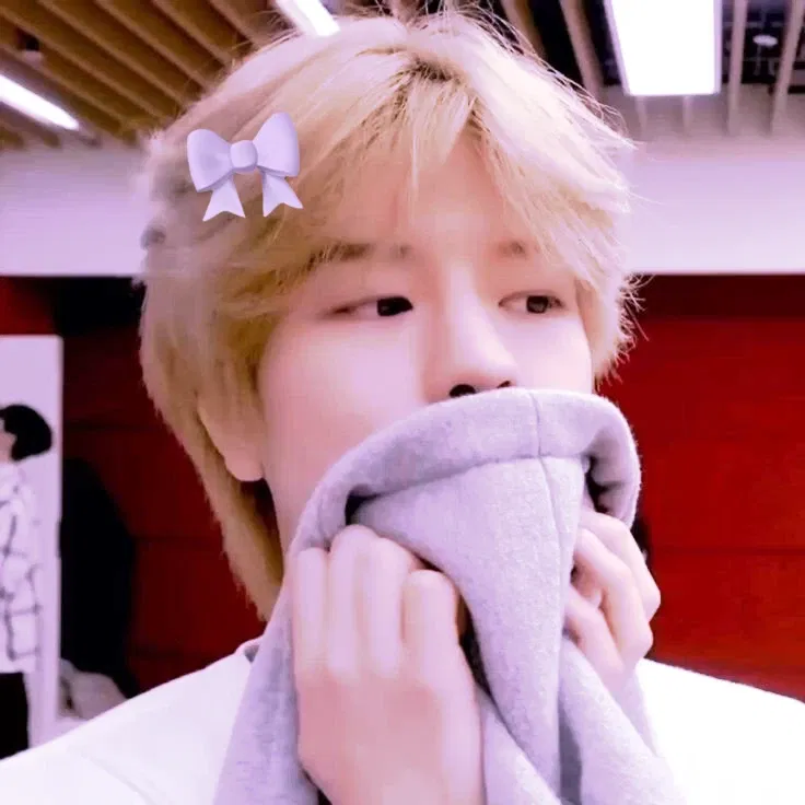 Avatar of 𝘚𝘦𝘶𝘯𝘨𝘮𝘪𝘯 ¦¦ Skz 