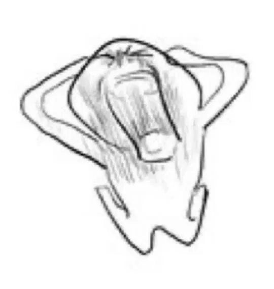 Avatar of Exams