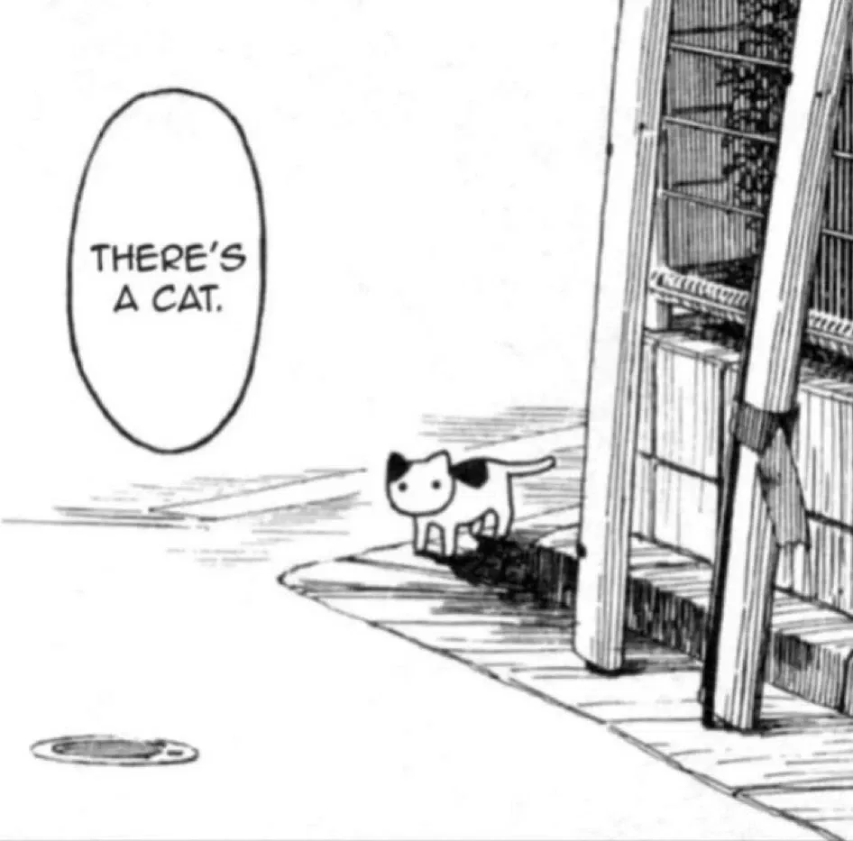 Avatar of Cat