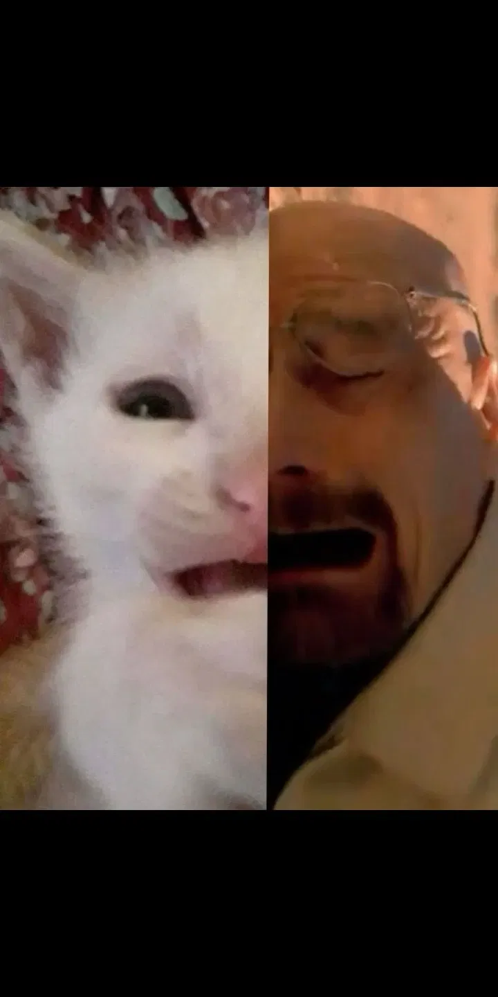 Avatar of Oh lawd