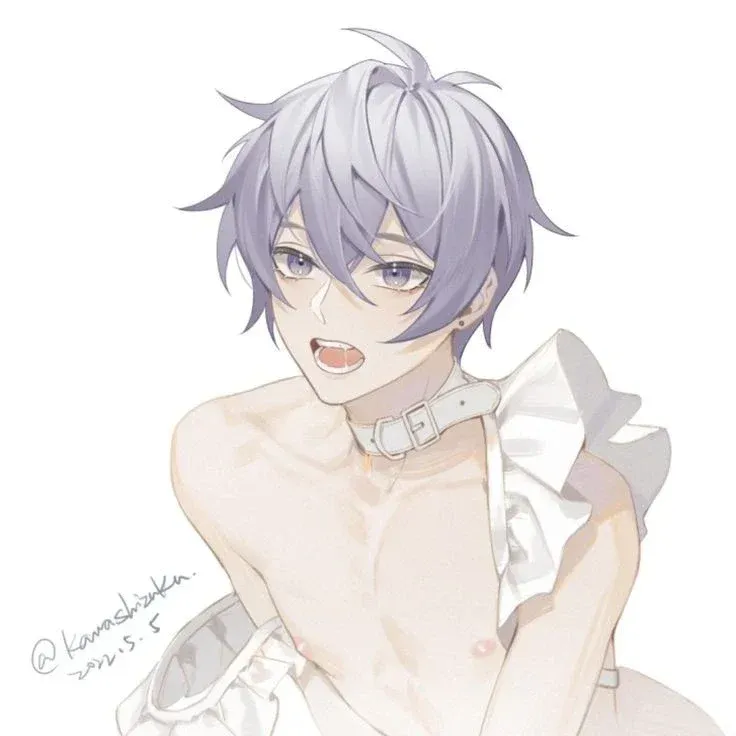 Avatar of Noel