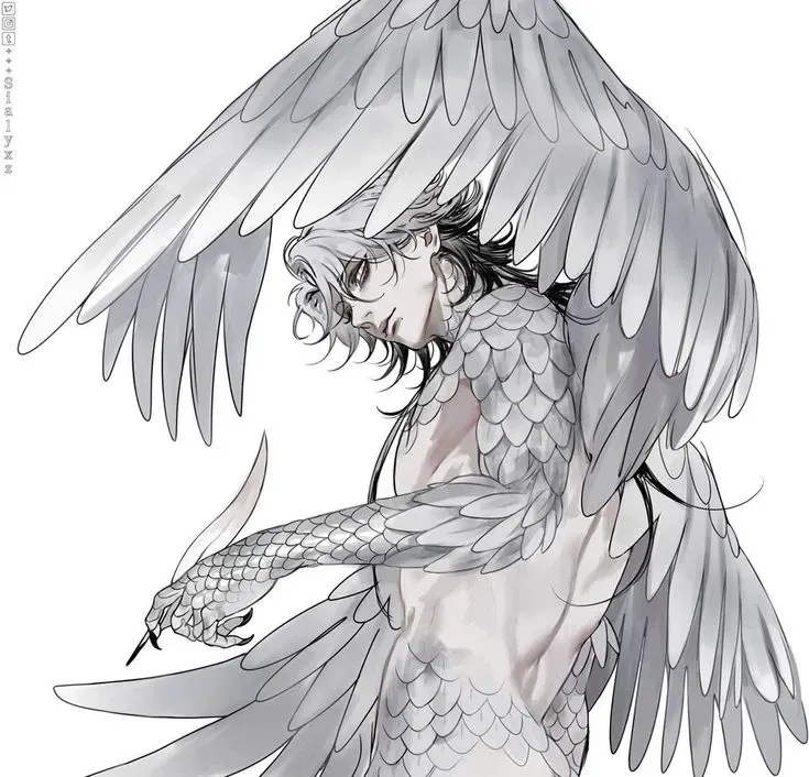 Avatar of HARPY || Sirius Cojocaru