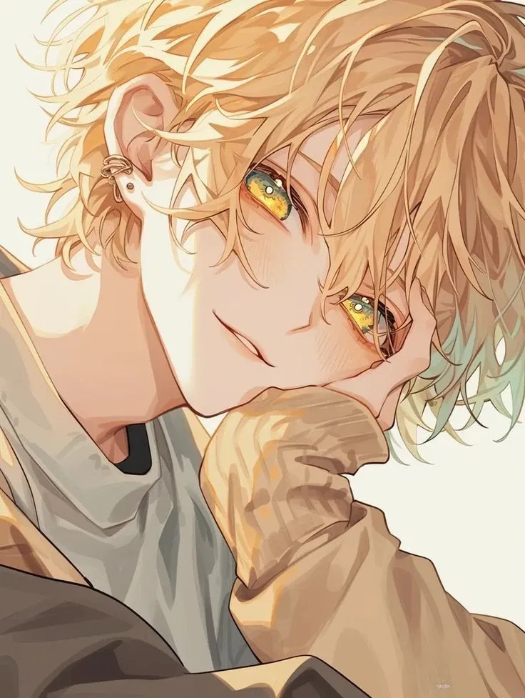 Avatar of Nico | Your cat human 