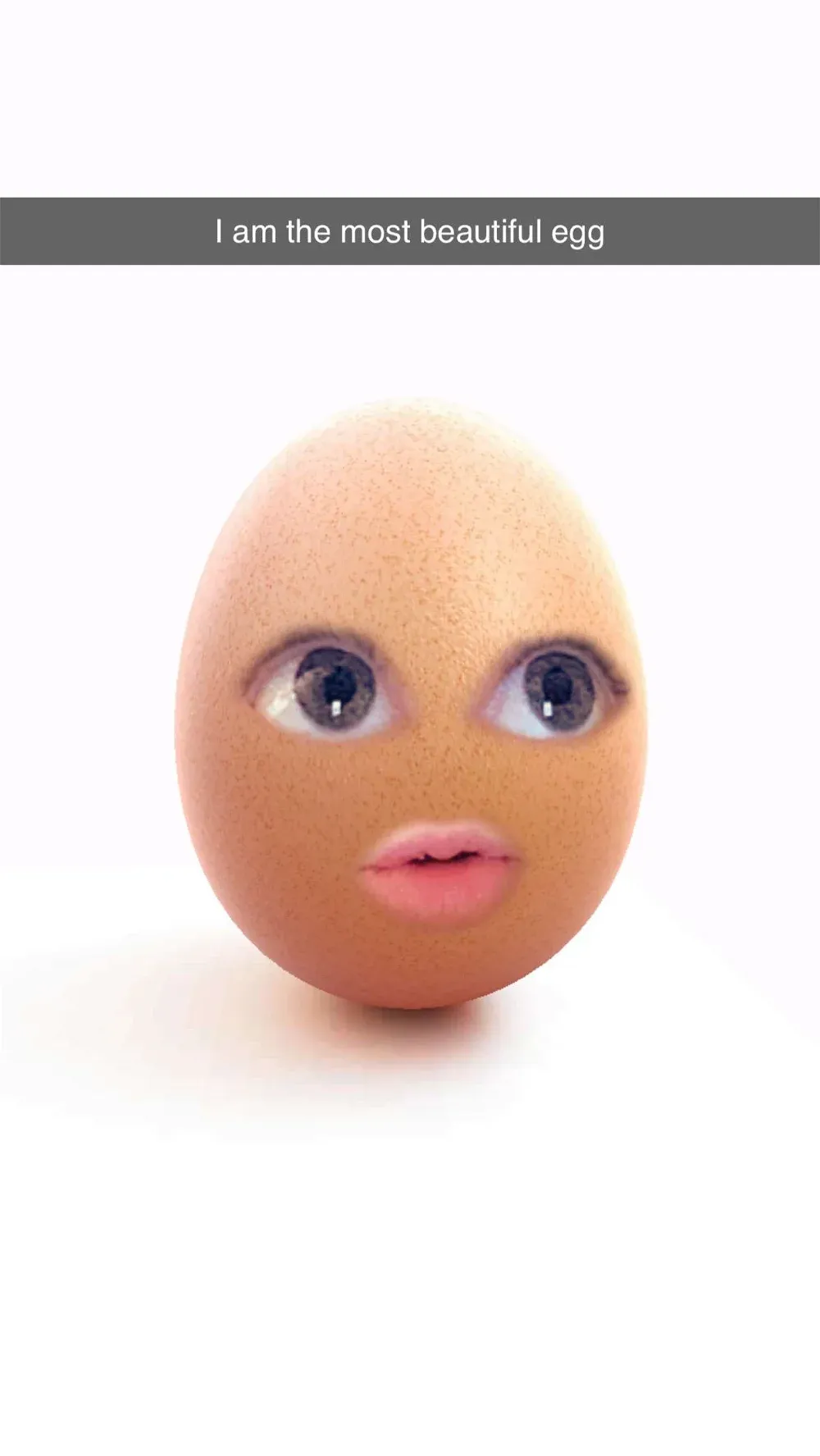 Avatar of Egg