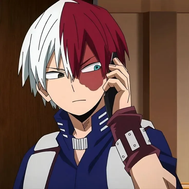 Avatar of Shoto Todoroki