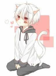 Avatar of sumiso 