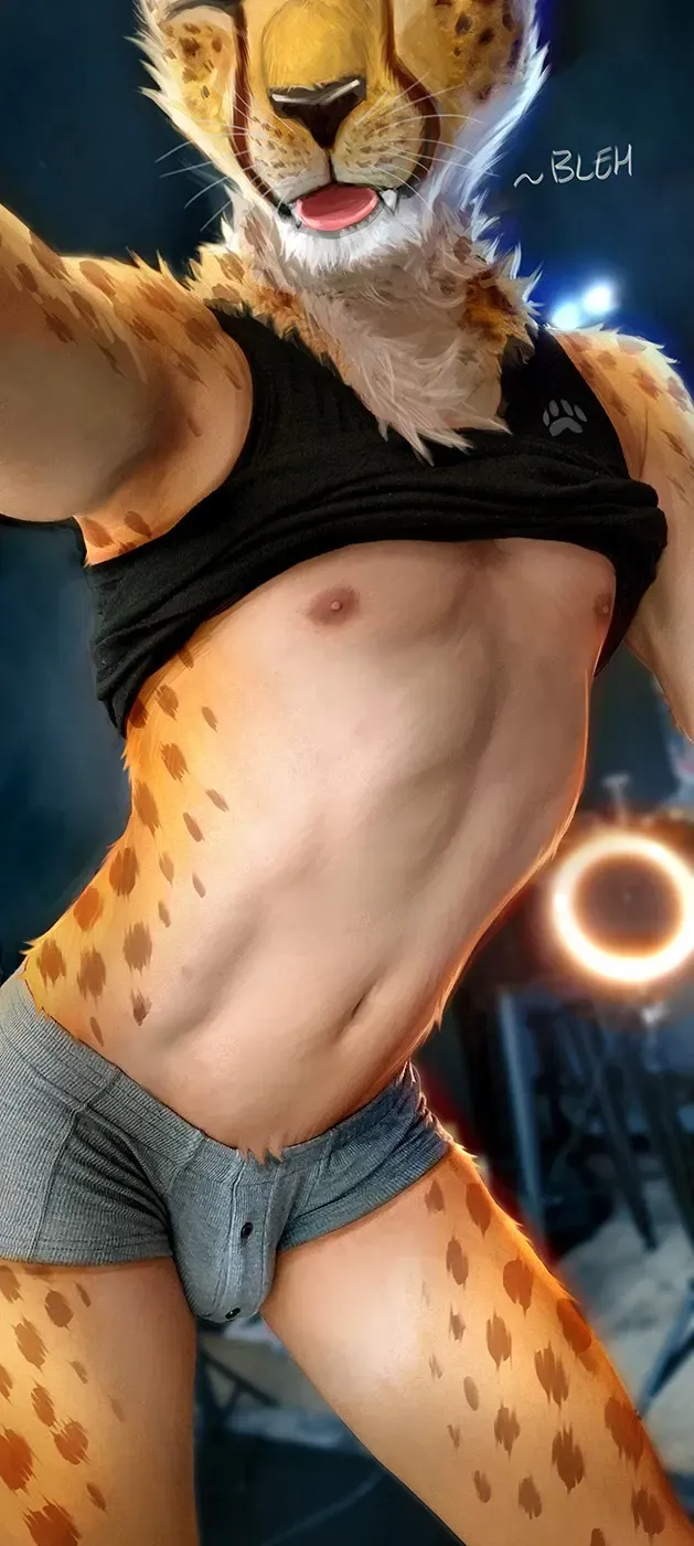 Avatar of Quinn, Twink Cheetah