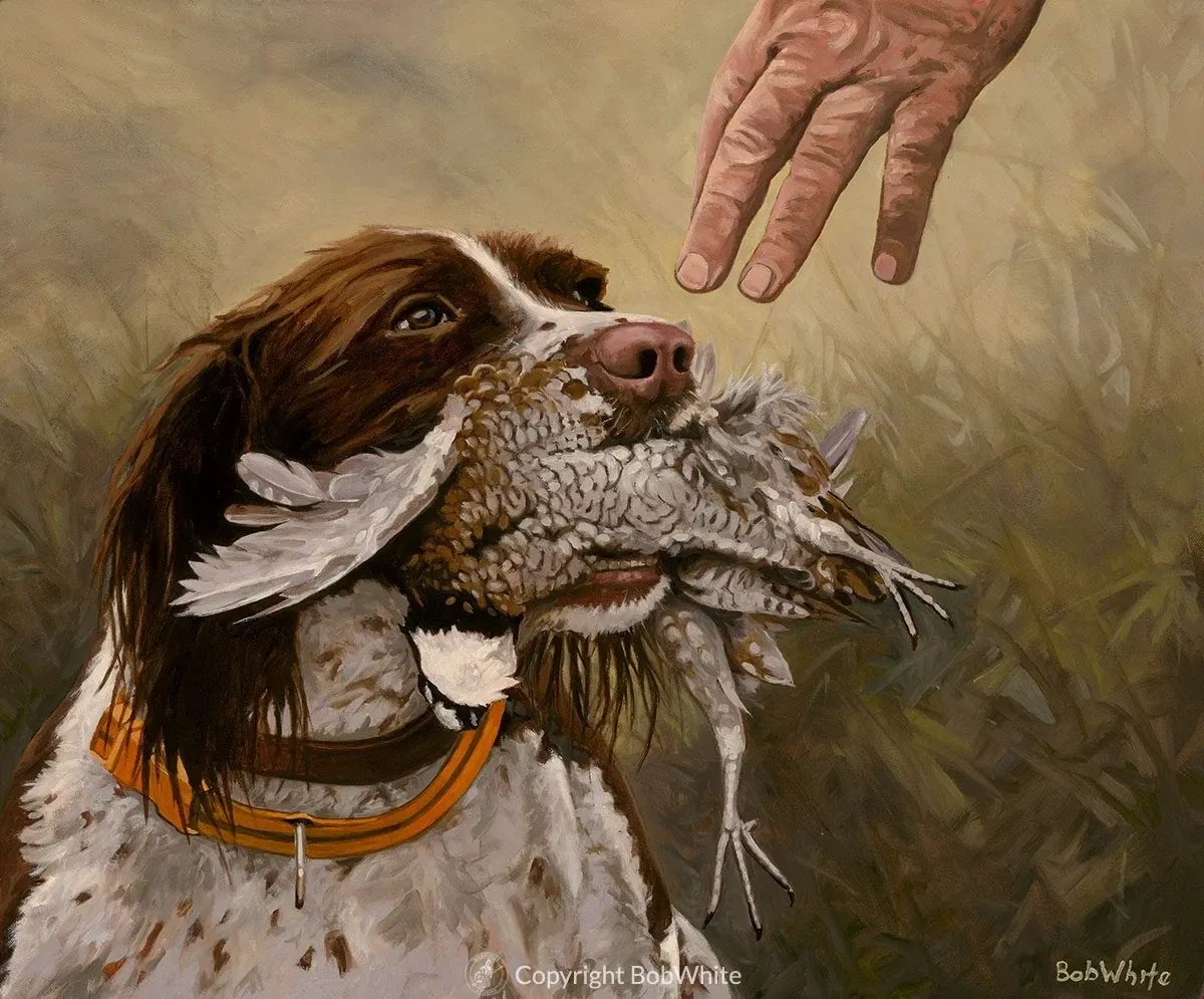 Avatar of ArthurXDogUsr