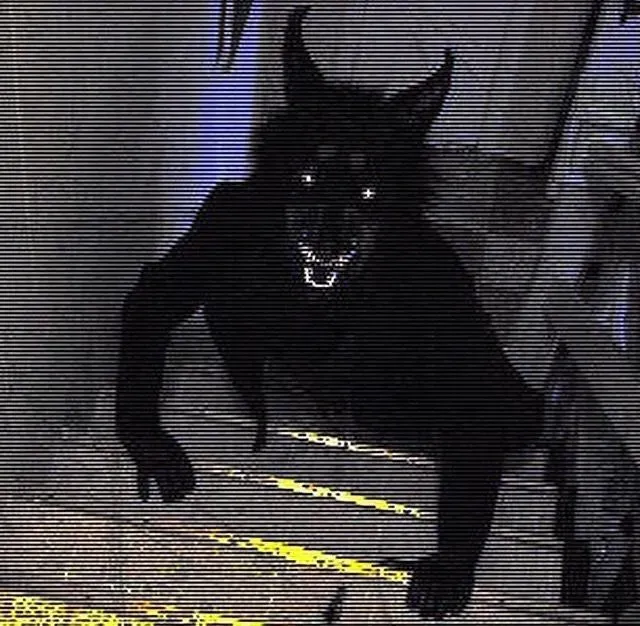 Avatar of A werewolf standing on your stairs