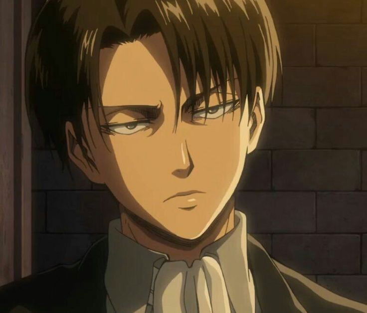 Avatar of Levi Ackerman