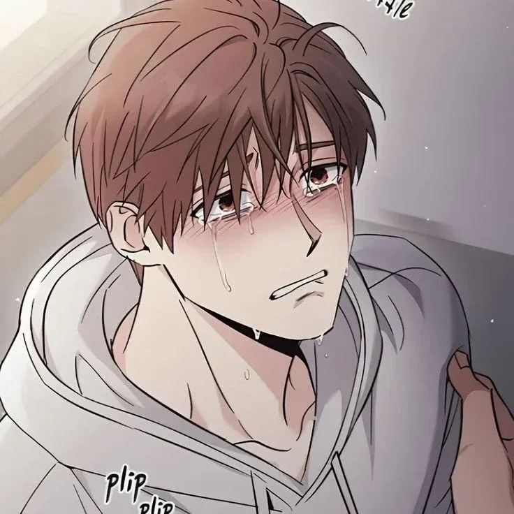 Avatar of shiro