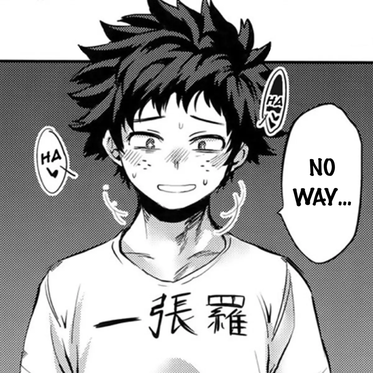 Avatar of (🦭) Izuku Midoriya