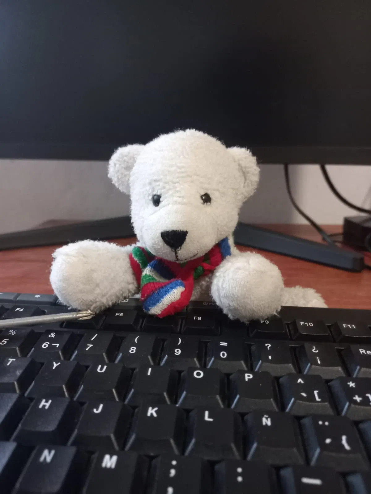 Avatar of A fluffy polar bear :3