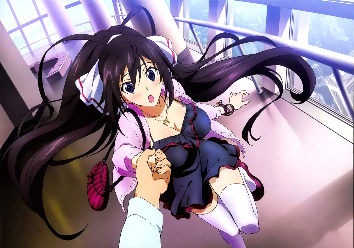 Avatar of Houki Shinonono