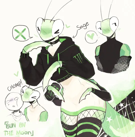 Avatar of Sage | Femboy Influencer